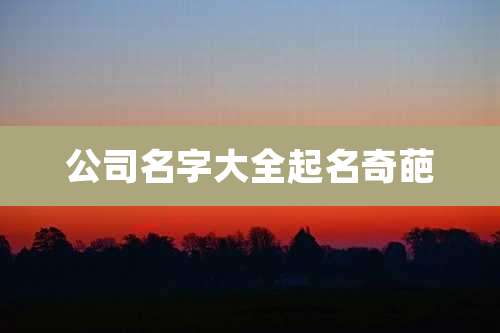 公司名字大全起名奇葩