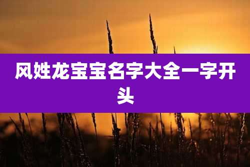 风姓龙宝宝名字大全一字开头