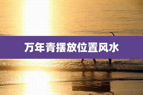 万年青摆放位置风水