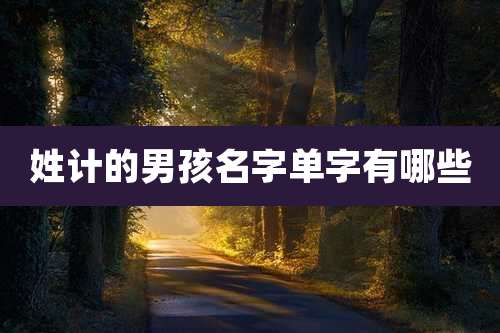 姓计的男孩名字单字有哪些