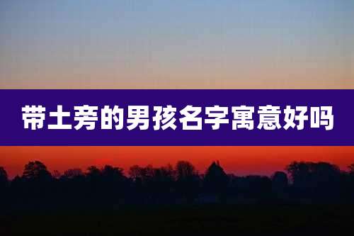 带土旁的男孩名字寓意好吗