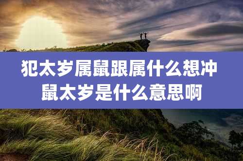犯太岁属鼠跟属什么想冲 鼠太岁是什么意思啊