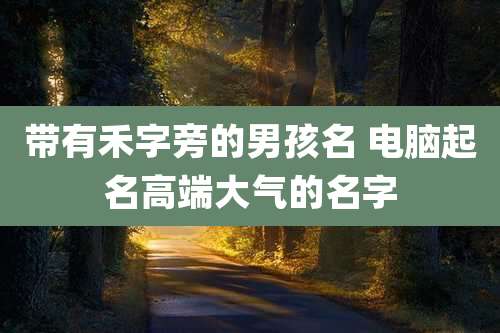带有禾字旁的男孩名 电脑起名高端大气的名字