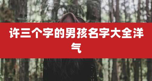 许三个字的男孩名字大全洋气