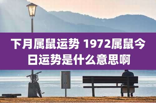 下月属鼠运势 1972属鼠今日运势是什么意思啊