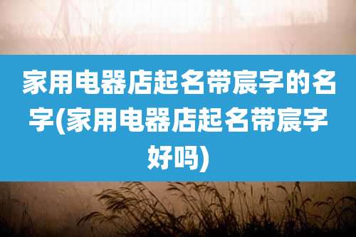 家用电器店起名带宸字的名字(家用电器店起名带宸字好吗)