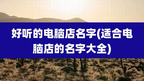好听的电脑店名字(适合电脑店的名字大全)