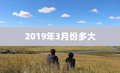 2019年3月份多大