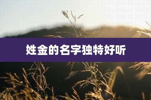 姓金的名字独特好听