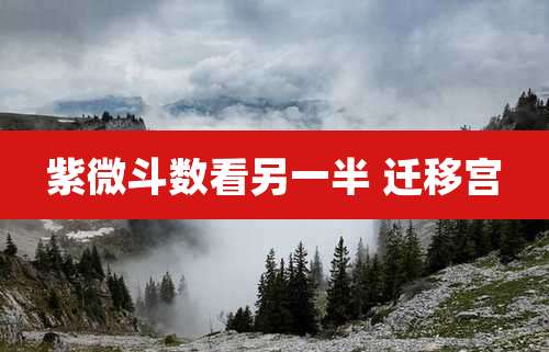 紫微斗数看另一半 迁移宫