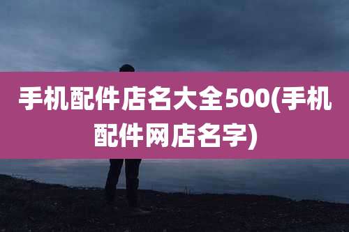 手机配件店名大全500(手机配件网店名字)