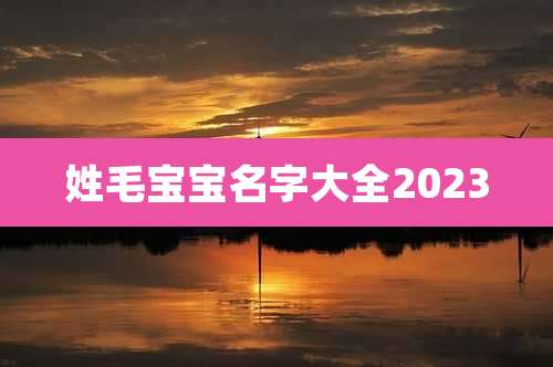 姓毛宝宝名字大全2023