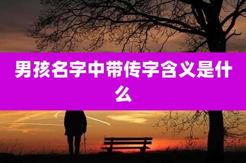男孩名字中带传字含义是什么