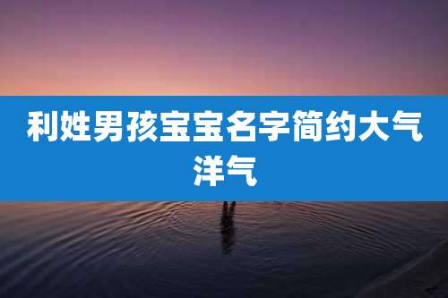 利姓男孩宝宝名字简约大气洋气