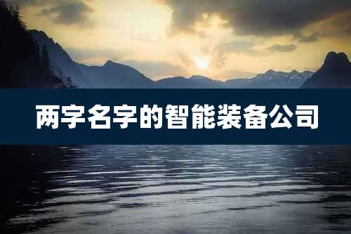 两字名字的智能装备公司