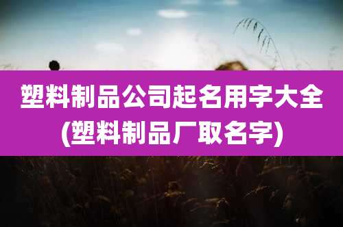 塑料制品公司起名用字大全(塑料制品厂取名字)