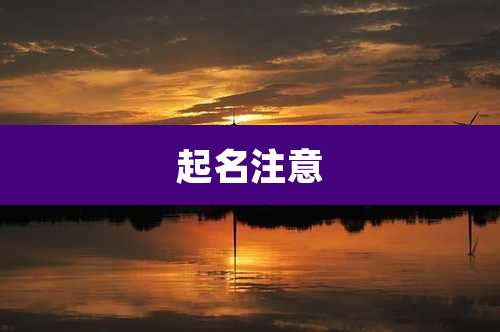 起名注意
