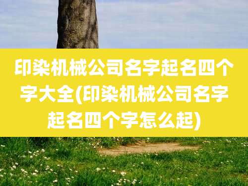 印染机械公司名字起名四个字大全(印染机械公司名字起名四个字怎么起)