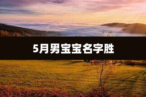 5月男宝宝名字胜