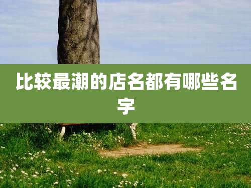 比较最潮的店名都有哪些名字