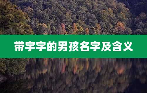 带宇字的男孩名字及含义