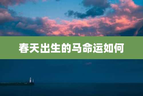 春天出生的马命运如何