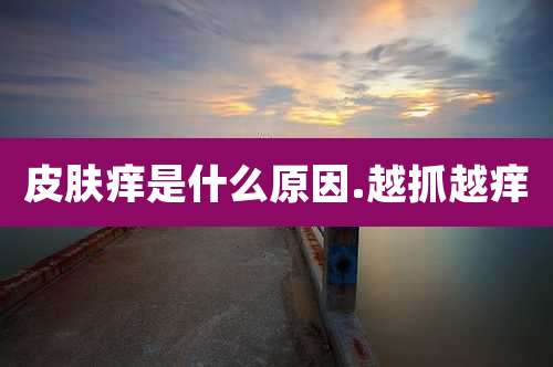 皮肤痒是什么原因.越抓越痒