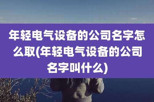 年轻电气设备的公司名字怎么取(年轻电气设备的公司名字叫什么)