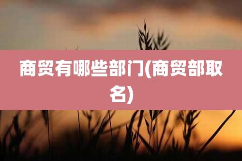 商贸有哪些部门(商贸部取名)