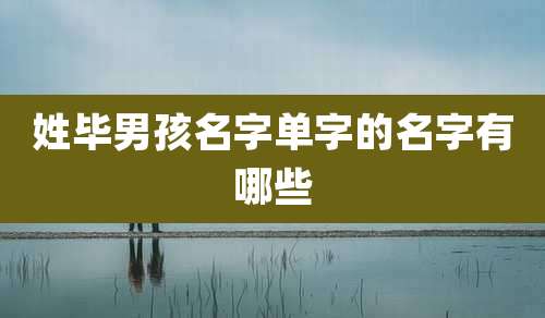 姓毕男孩名字单字的名字有哪些