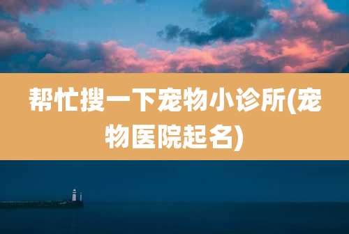 帮忙搜一下宠物小诊所(宠物医院起名)