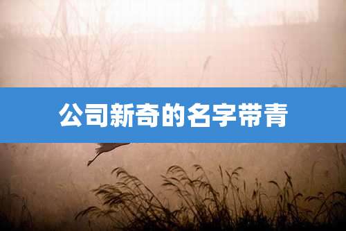 公司新奇的名字带青