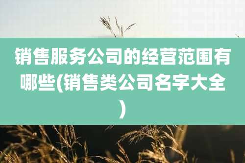 销售服务公司的经营范围有哪些(销售类公司名字大全)