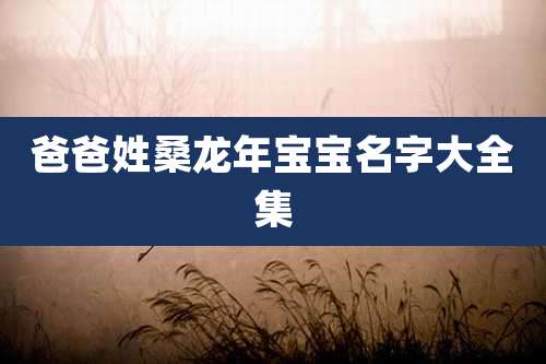 爸爸姓桑龙年宝宝名字大全集