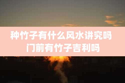 种竹子有什么风水讲究吗 门前有竹子吉利吗