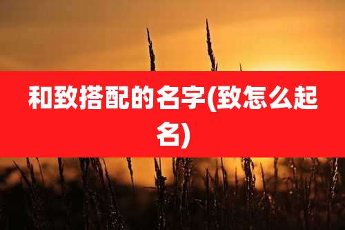 和致搭配的名字(致怎么起名)