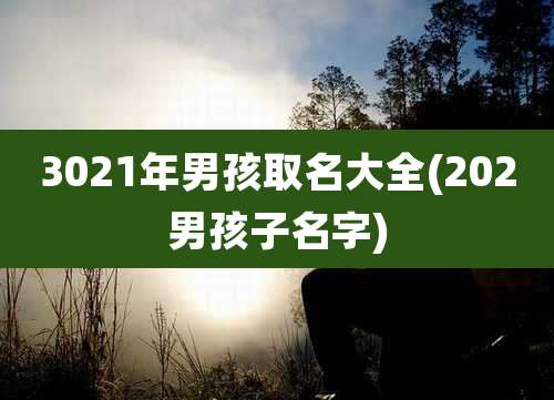 3021年男孩取名大全(202男孩子名字)