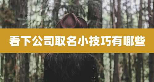 看下公司取名小技巧有哪些