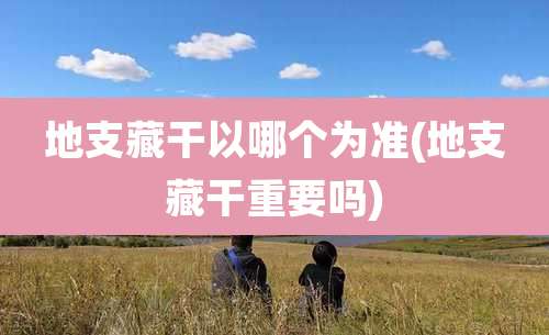 地支藏干以哪个为准(地支藏干重要吗)