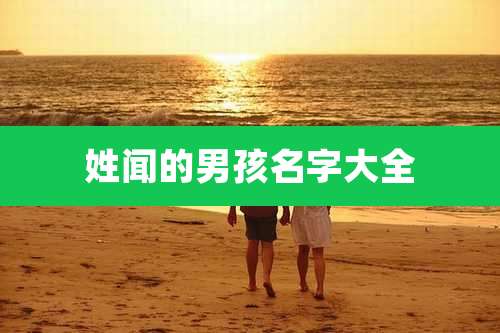 姓闻的男孩名字大全