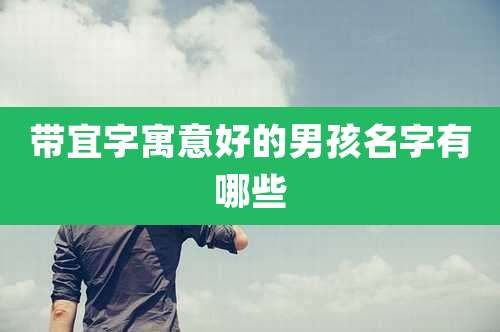 带宜字寓意好的男孩名字有哪些