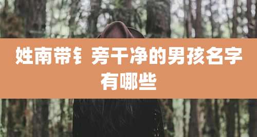 姓南带钅旁干净的男孩名字有哪些