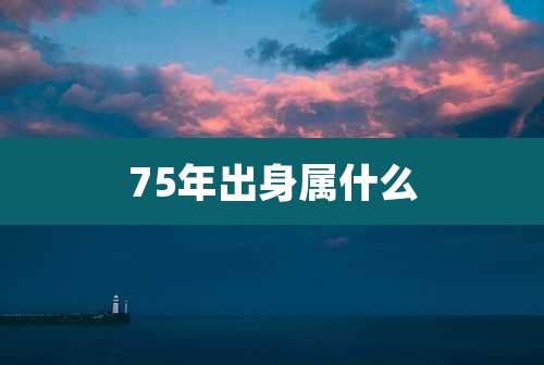 75年出身属什么