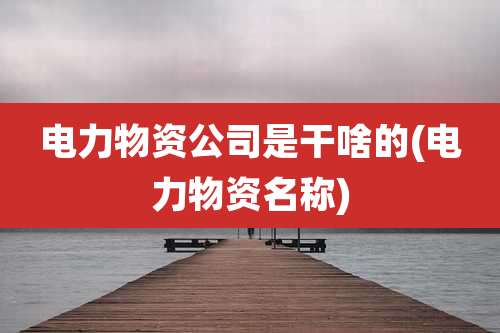 电力物资公司是干啥的(电力物资名称)