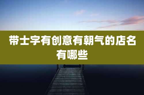 带士字有创意有朝气的店名有哪些