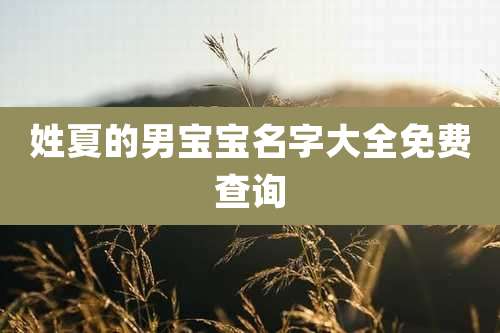 姓夏的男宝宝名字大全免费查询