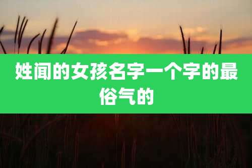 姓闻的女孩名字一个字的最俗气的