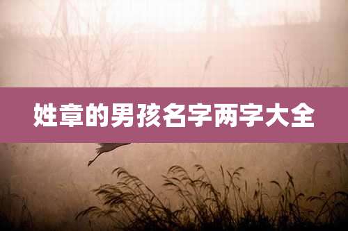 姓章的男孩名字两字大全