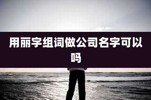 用丽字组词做公司名字可以吗