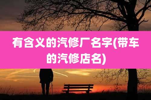 有含义的汽修厂名字(带车的汽修店名)